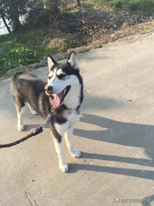 20221109110041_99024