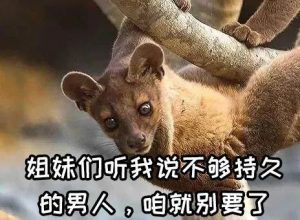 女人与犬交(女人与犬交)-警犬训练器材厂家 _警犬训练用品_工作犬训练用品-南京开久警犬装备