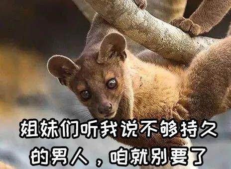 女人与犬交(女人与犬交) - 警犬训练器材厂家 _警犬训练用品_工作犬训练用品-南京开久警犬装备-警犬训练器材厂家 _警犬训练用品_工作犬训练用品-南京开久警犬装备