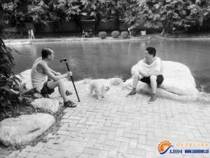 厦门哪些景点可以带狗的地方-警犬训练器材厂家 _警犬训练用品_工作犬训练用品-南京开久警犬装备