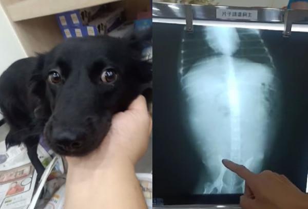 20221109114207_33661