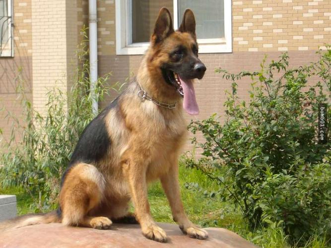 20221109114812_14033