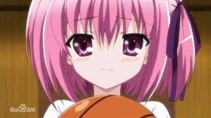 东方八犬异闻录(东方八犬异闻录漫画结局)-警犬训练器材厂家 _警犬训练用品_工作犬训练用品-南京开久警犬装备