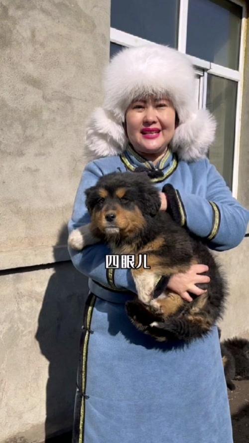 20221109115629_18849