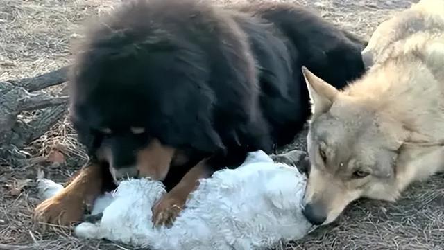 20221109115630_76882