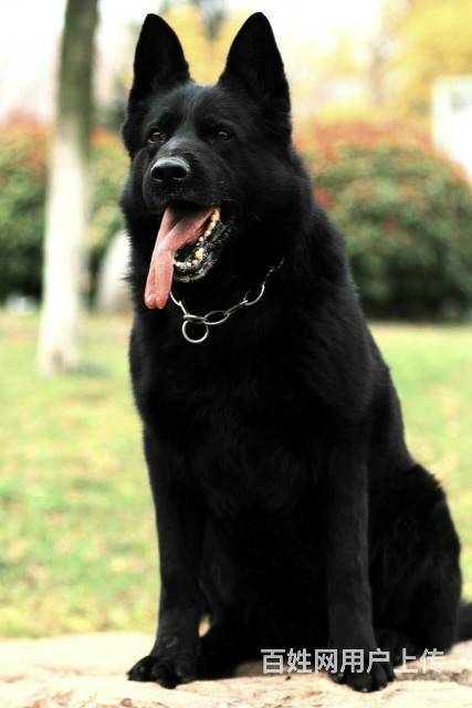 20221109121805_11853