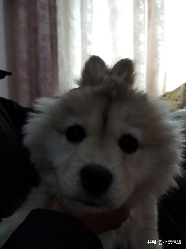 20221109122738_57344 20221109122738_57344