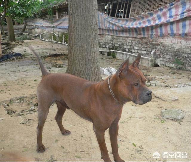 20221109125117_66027