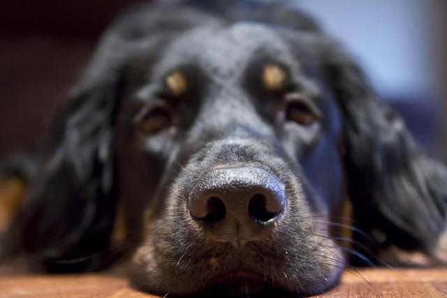 20221109142520_15095