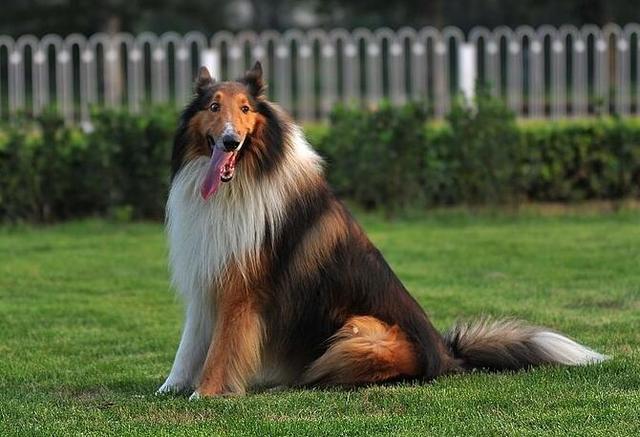 20221109142634_39197