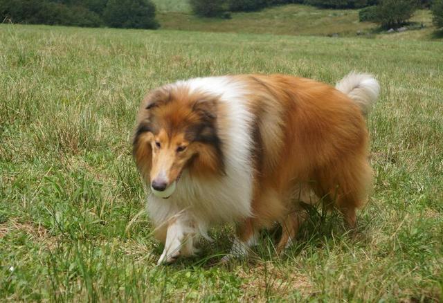 20221109142634_66166