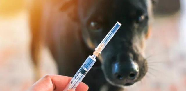 20221109143145_90577 20221109143145_90577