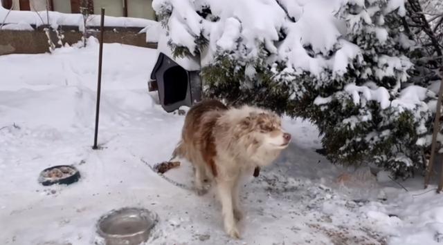 20221109143906_17745