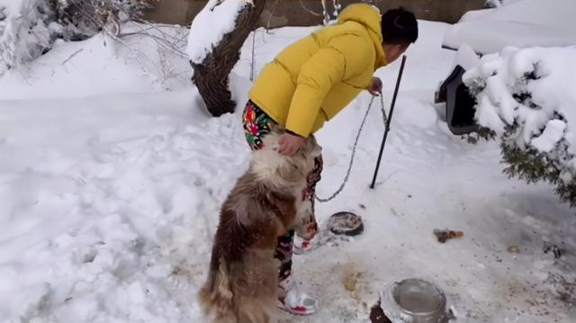 什么动物喜欢吃狗萌宠(农村什么动物吃狗) - 警犬训练器材厂家 _警犬训练用品_工作犬训练用品-南京开久警犬装备-警犬训练器材厂家 _警犬训练用品_工作犬训练用品-南京开久警犬装备