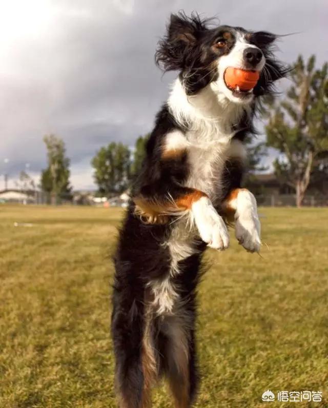 20221109150115_25145 20221109150115_25145