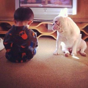 一个小孩一个狗的头像(一个小孩一个狗的头像代表什么性格)-警犬训练器材厂家 _警犬训练用品_工作犬训练用品-南京开久警犬装备