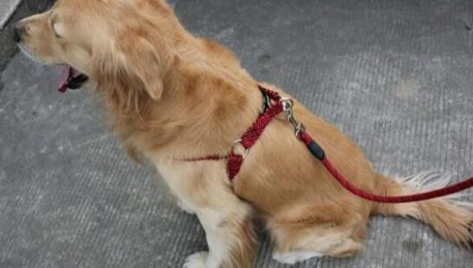 20221109151118_56395