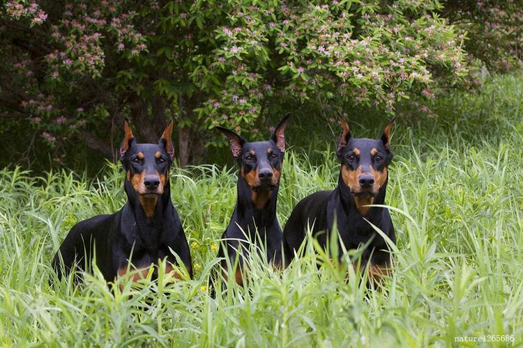 20221109154441_21961