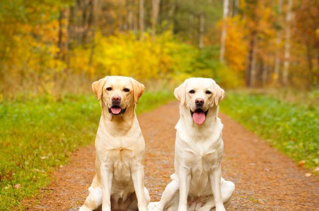 20221109155947_47063 20221109155947_47063