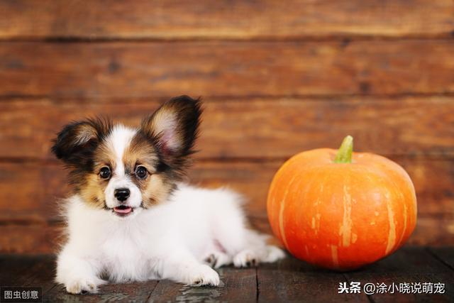 20221109160125_69220