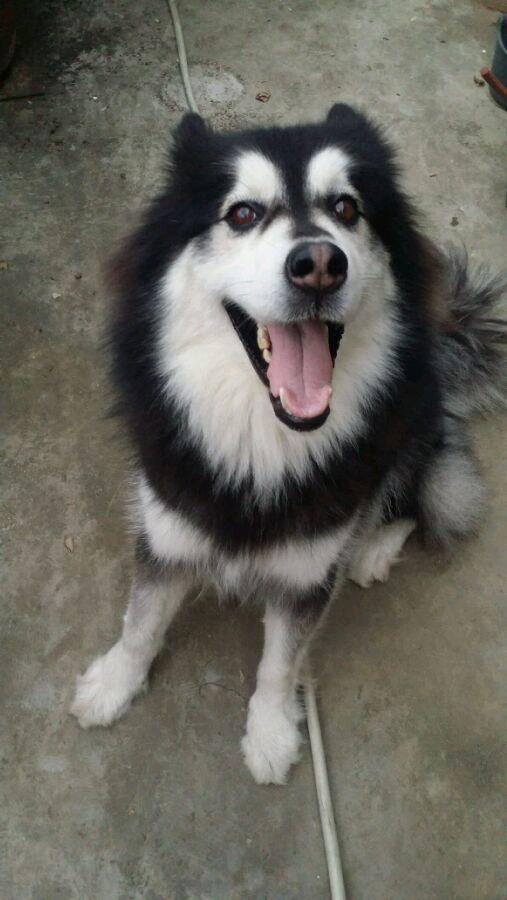 20221109160652_57747