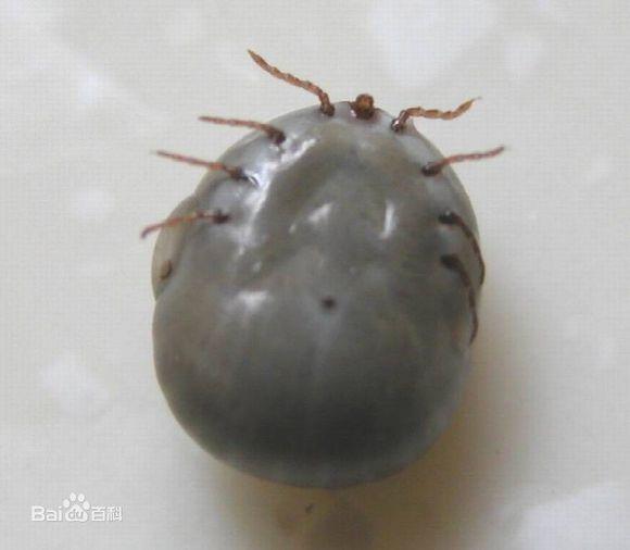 20221109160653_83456