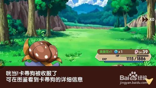 口袋妖怪红宝石卡蒂狗在哪抓(口袋妖怪火红卡蒂狗几级进化) - 警犬训练器材厂家 _警犬训练用品_工作犬训练用品-南京开久警犬装备-警犬训练器材厂家 _警犬训练用品_工作犬训练用品-南京开久警犬装备