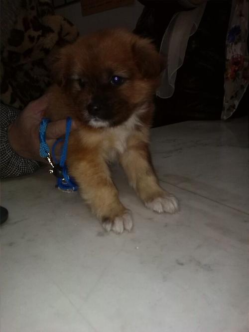 20221109163800_56265 20221109163800_56265