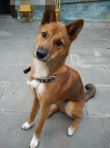 20221109163801_91127 20221109163801_91127