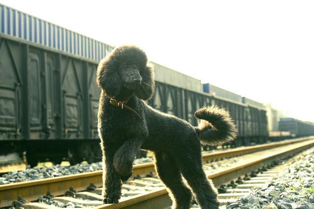 20221109164926_24356