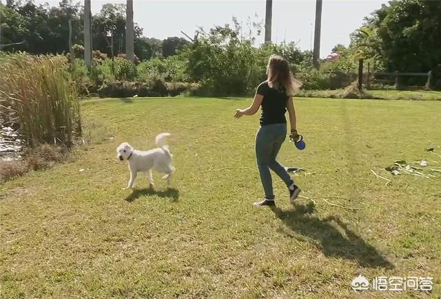 20221109170620_43896