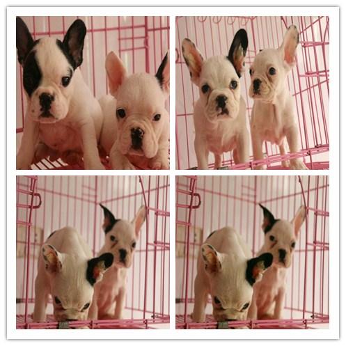 20221109183038_74101 20221109183038_74101