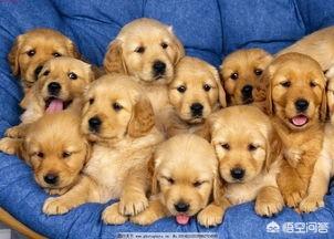 20221109183834_61869