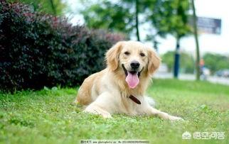 20221109183835_65995