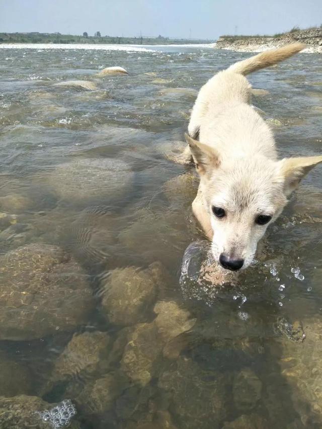 20221109184751_79393 20221109184751_79393