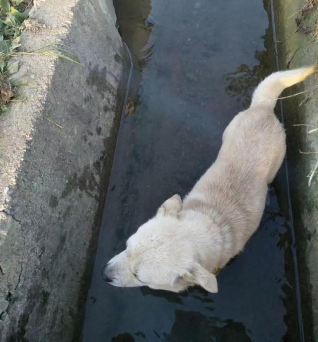 20221109184751_93634 20221109184751_93634