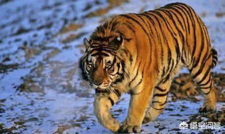 20221109190522_75181 20221109190522_75181