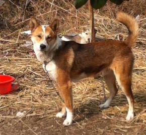 20221109190627_62232 20221109190627_62232