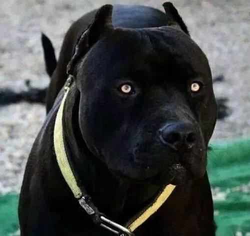 20221109191355_14331