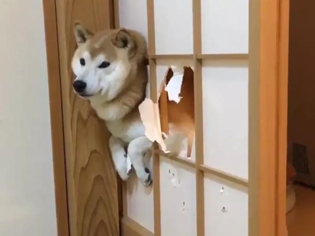 20221109195631_25710