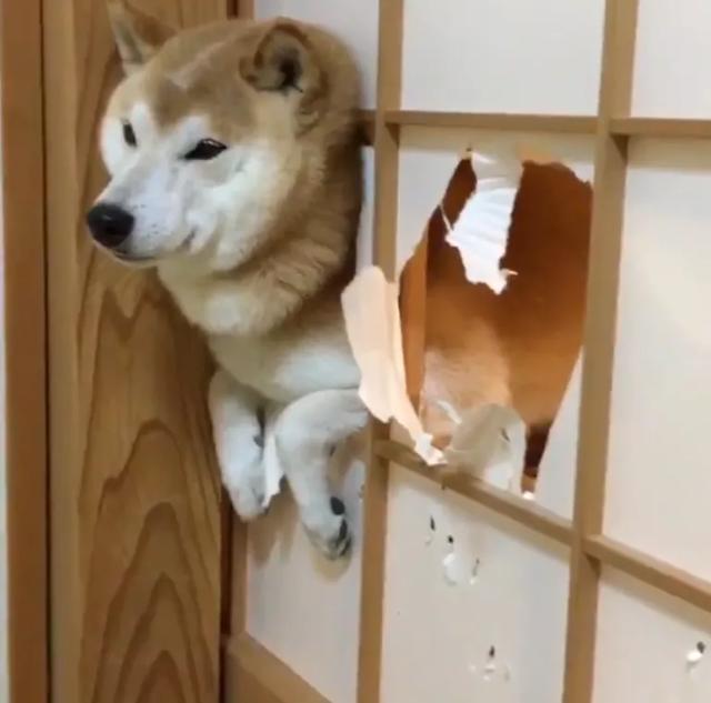 20221109195631_68148