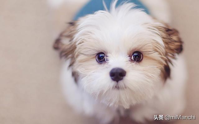 20221109201132_13867