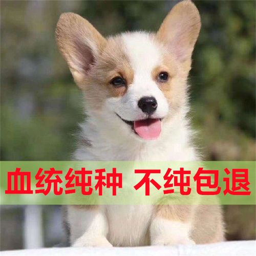 20221109202354_87320