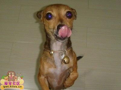 20221109202824_97418