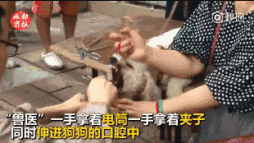 20221109202825_98141