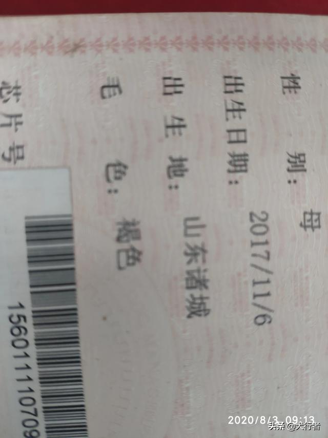 20221109203006_57526 20221109203006_57526