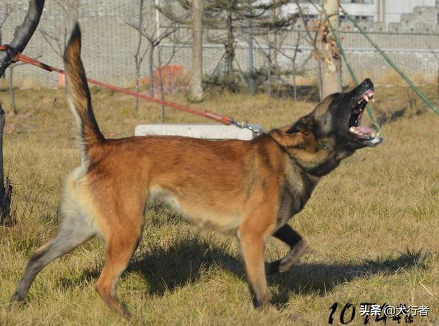 20221109203006_62333 20221109203006_62333