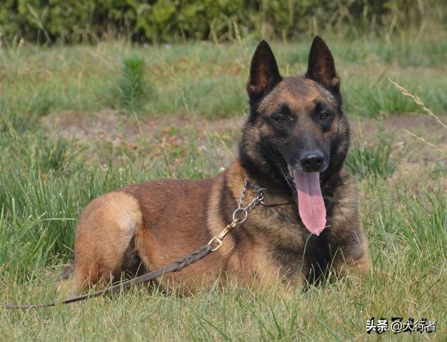 20221109203006_92822 20221109203006_92822