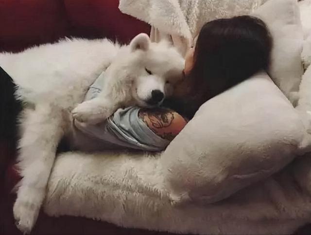 20221109205008_38539