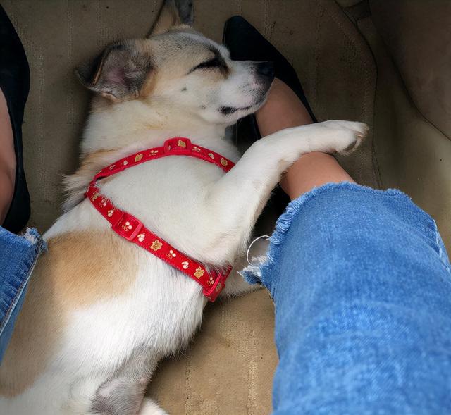 20221109205008_61855